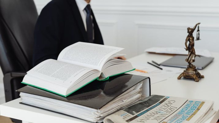 Помощь в списании долгов с минимальной стоимостью и минимальными рисками в суде под ключ РФ
